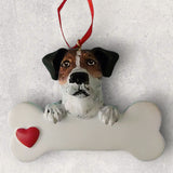 DOGS - JACK RUSSELL - Bone