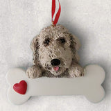 DOGS - LABRADOODLE - Bone