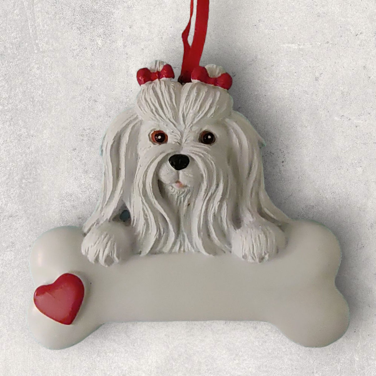 DOGS - MALTESE - Bone