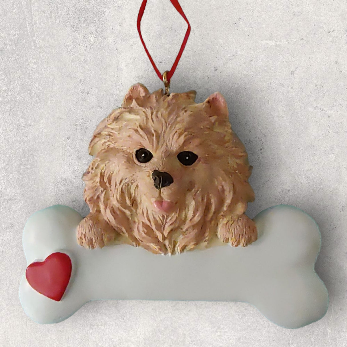 DOGS - POMERANIAN - Bone